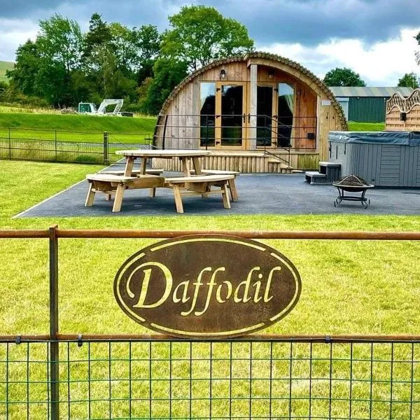 Daffodil, hôtel à Rhayader