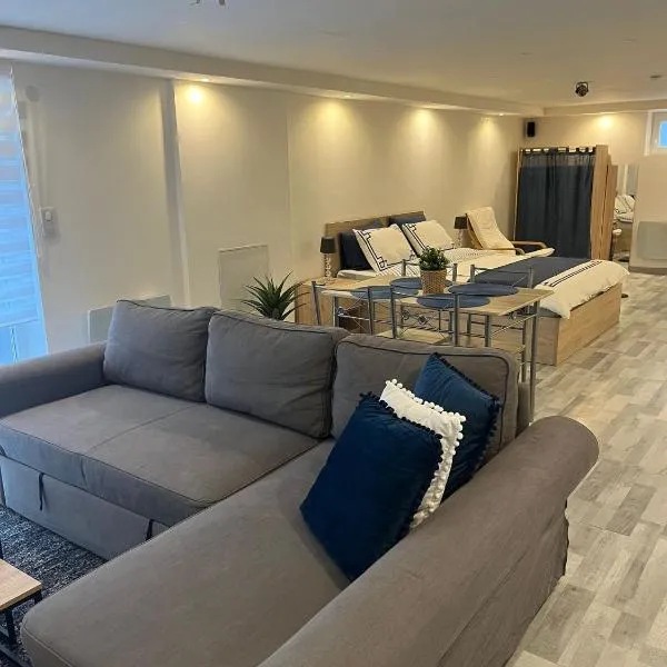 Très bel appartement type loft de 40 m2 dans maison avec parking privatif, hotel v destinaci Lingolsheim