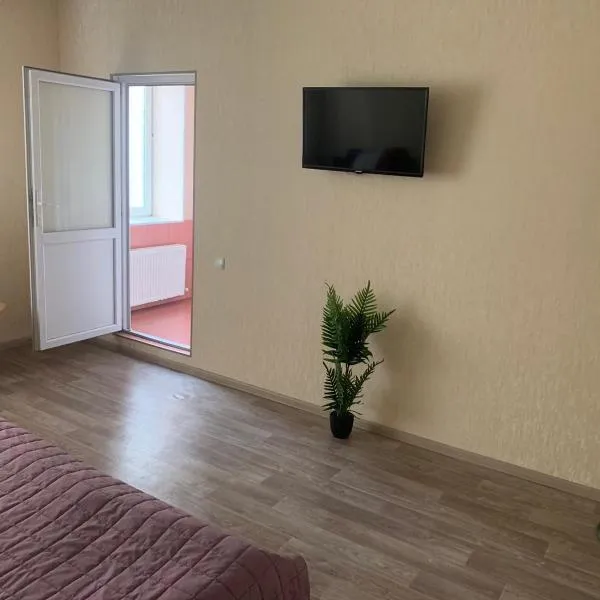 Apartment on Mira avenue, hotel di Izmail