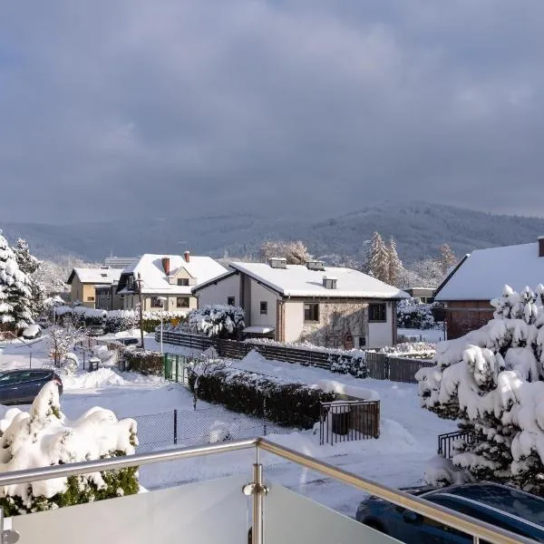 Apartamenty Ogrodowa w centrum Ustronia - Dream Apart，位于乌斯特龙的酒店