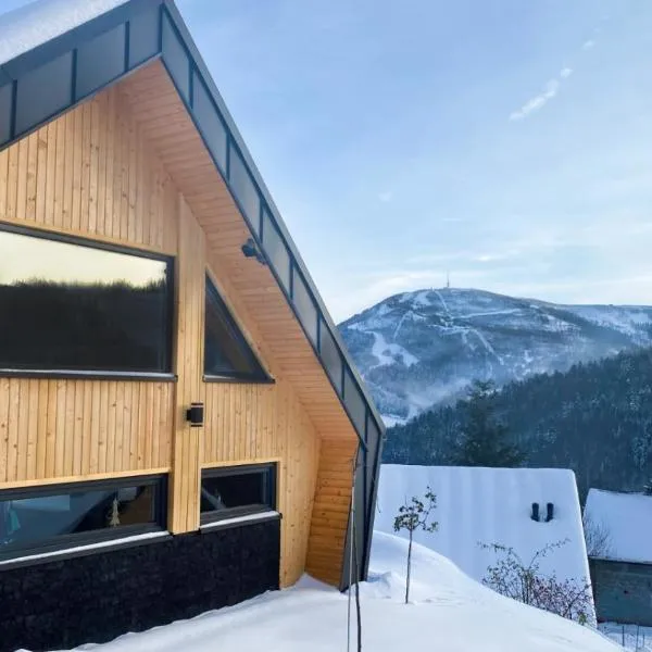 Osada Mountain Villas Szczyrk - domki z balią i sauną - piękny widok na góry - Dream Apart, hotel en Szczyrk