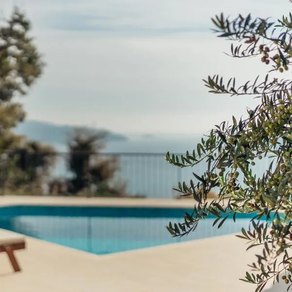 Villa Sladovic, ξενοδοχείο στο Χέρτσεγκ Νόβι