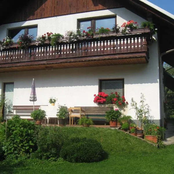 Apartma Tilika, hotel v destinaci Kranjska Gora