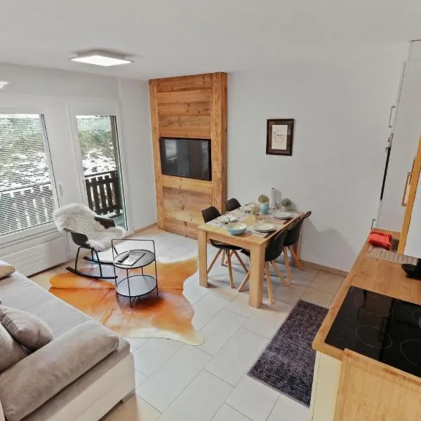 Appartement en plein centre de Crans Montana, Hotel in Crans-Montana