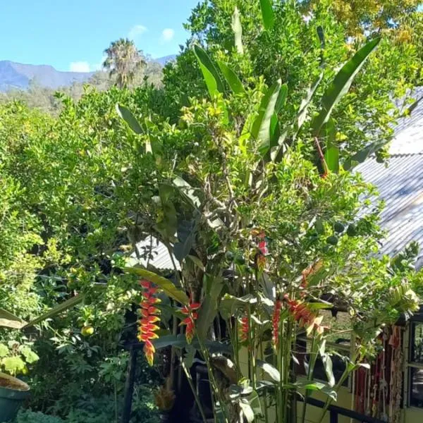 Skale Peregrino, hotel in Cáqueza