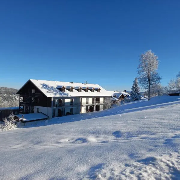 Apartements 270-275 Mitterdorf, hotel in Mitterfirmiansreut