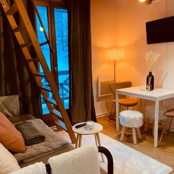 Charmant studio avec coin nuit en mezzanine La Foux d'Allos、アロスのホテル