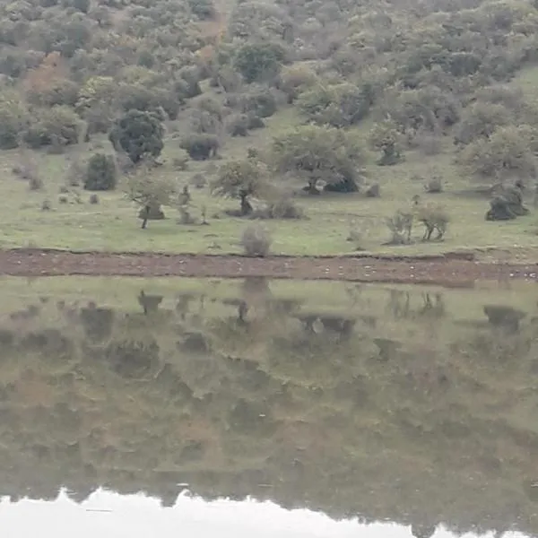 Ωρίωνας, отель в городе Pýli