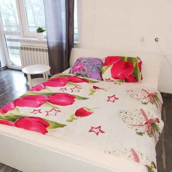 B&B GLINIK 81, hótel í Brzeziny