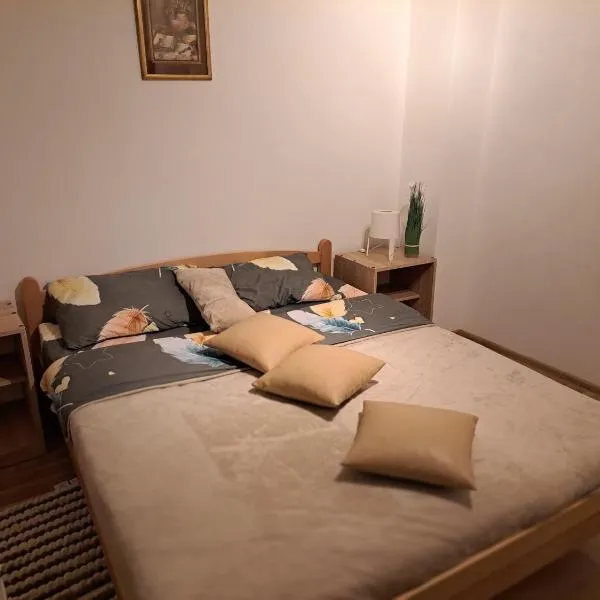Apartman Pavlovic, hotel a Dušanovac (historical)