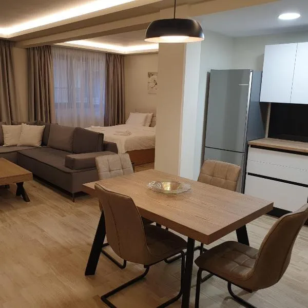 Olive Deluxe Apartment, hotel v destinaci Kardítsa