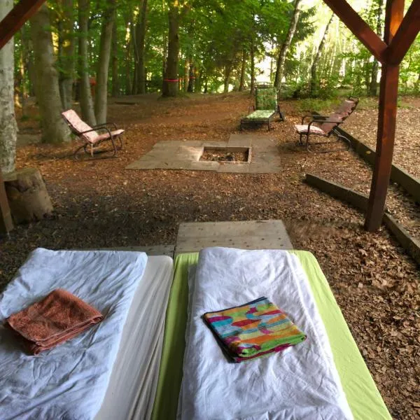Schwedischer Shelter unter Buchen, Hotel in Landolfshausen