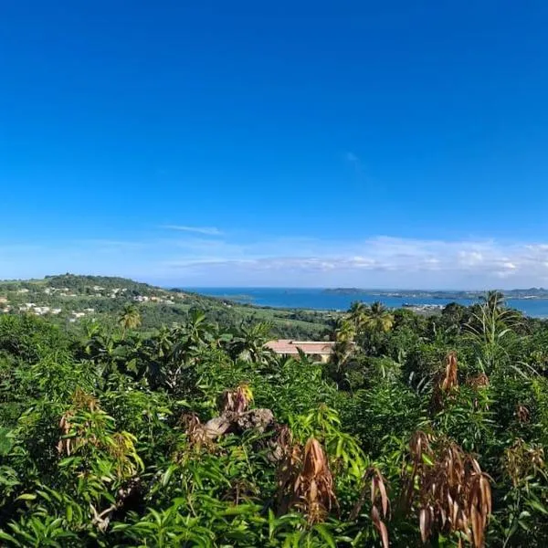 Zowanj 1 - Logement avec vue panoramique, hôtel à Le Robert