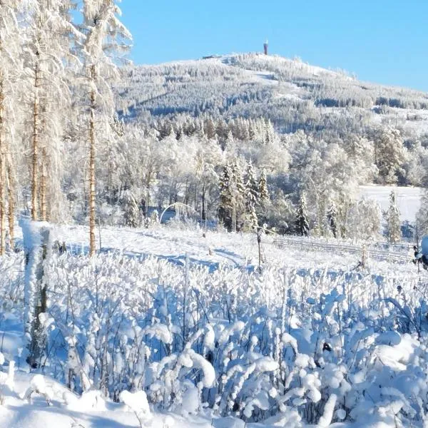 Harzpension Haus Königskopf, Hotel in Braunlage