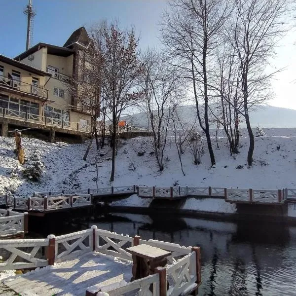 Kateryna, ξενοδοχείο σε Polyana