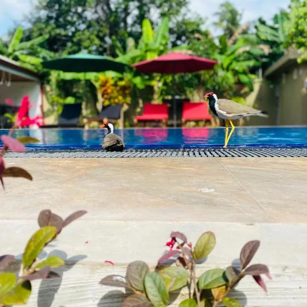 The Kingslayer Resort, hotel v Negombu