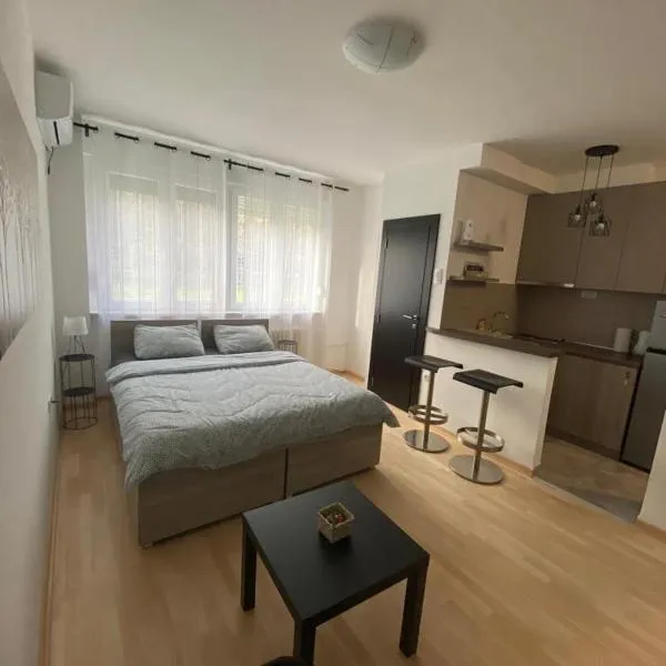 Vist apartmani – hotel w mieście Tošin Bunar