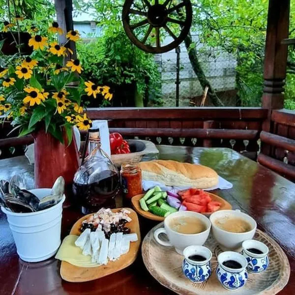 브레아자에 위치한 호텔 Casa Darul Bunicii