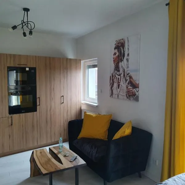 Apartament Słoneczny Sienkiewicza 3A, hotel di Leszno