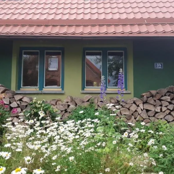 Zielony Domek w Sztynorcie, hotel v destinaci Sztynort