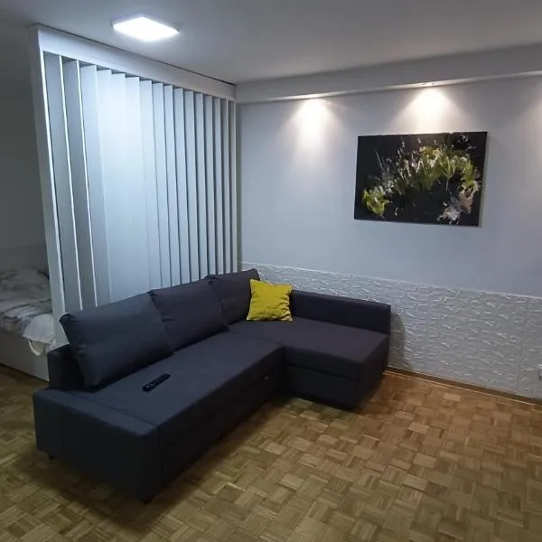 Trgovacka Zarkovo - Apartman, hotel en Žarkovo