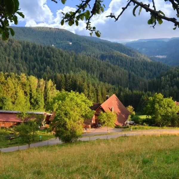 Hansjörgenhof Bioland-Hof, hotel in Schiltach