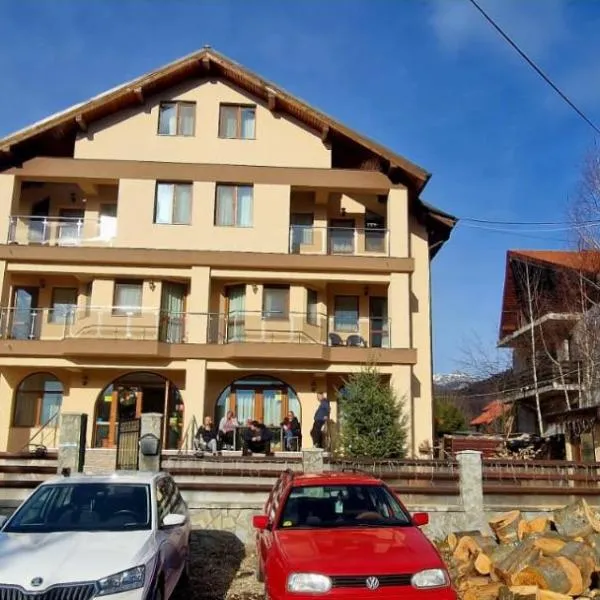 Pensiunea Alex, hotel in Mînăstirea Suzana