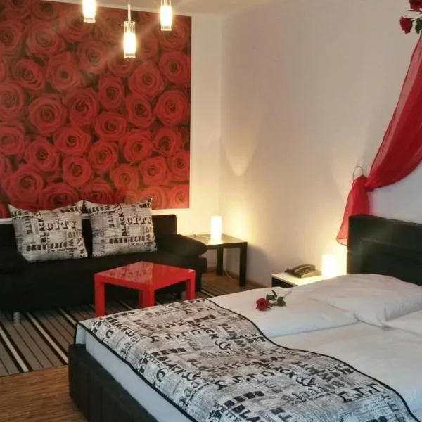 Pension Lucie, hotel v Praze