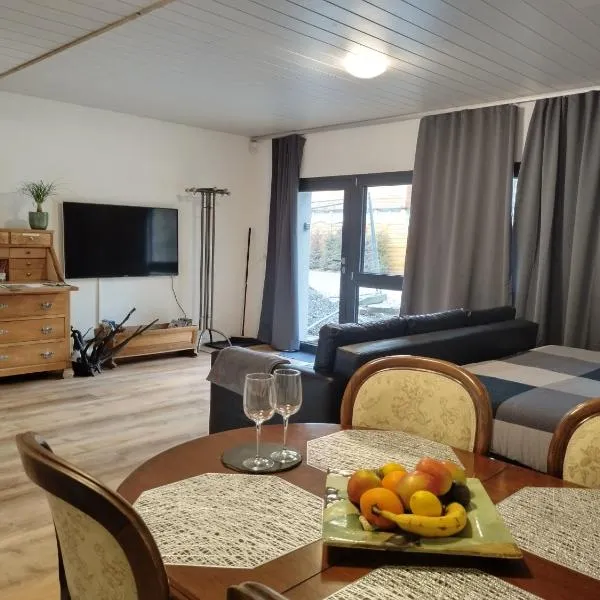 Spacieux studio 38m2 avec sauna, hotel em Les Paccots