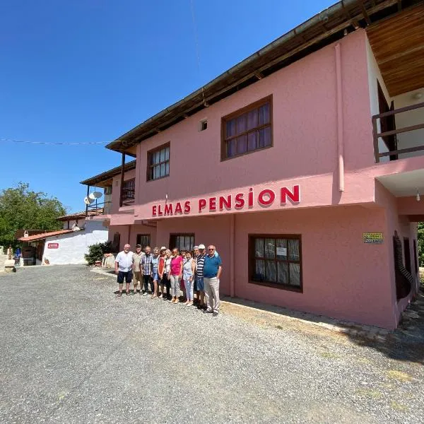 Elmas Pansiyon, hotel v destinaci Karacasu