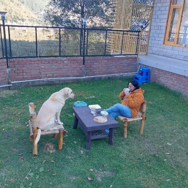 Nomad Bed & Breakfast photo 2