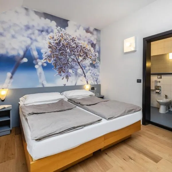 Pippo Hotel, hotel v destinaci Terzolas
