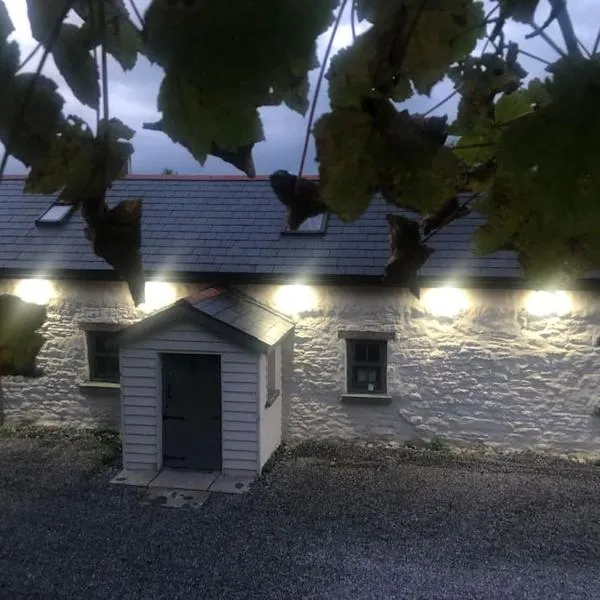Hopesgate Cottage - Roscrea, hotel v destinaci Roscrea