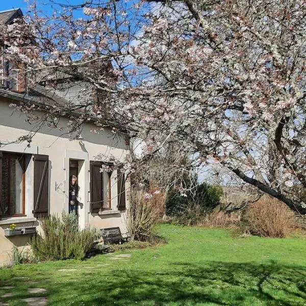 La Villonnière, hotel in Chazelet