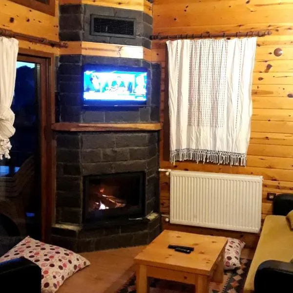 Ayder Cise Dag Evleri, khách sạn ở Ayder Yaylasi