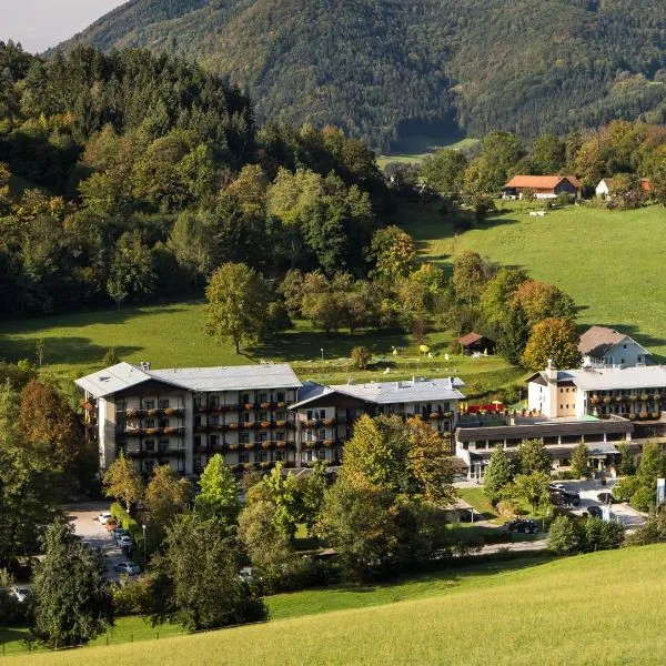 Gesundheits- & Wellnessresort Salzerbad, hotel Kleinzellben