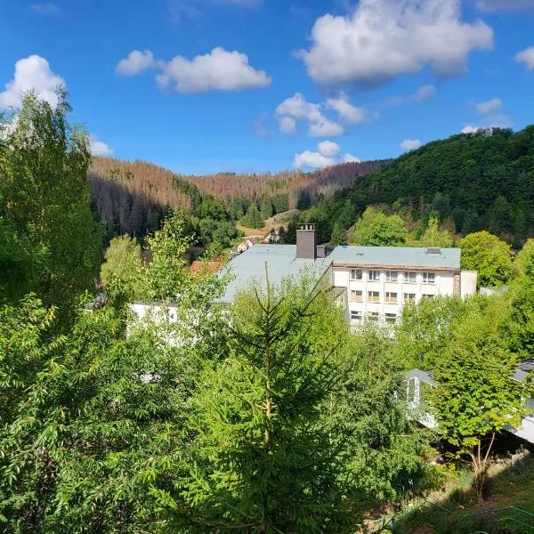 Werrapark Aktiv Hotel Am Sommerberg, hotel v destinaci Masserberg