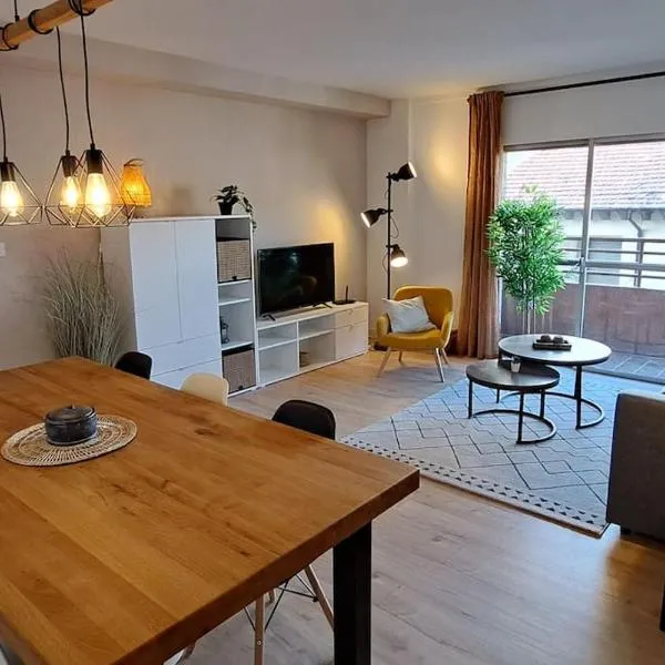 Piso acogedor en los Pirineos、サビニャニゴのホテル