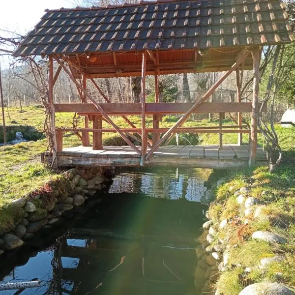 Pescărie La Nelu, hotel in Clopotiva