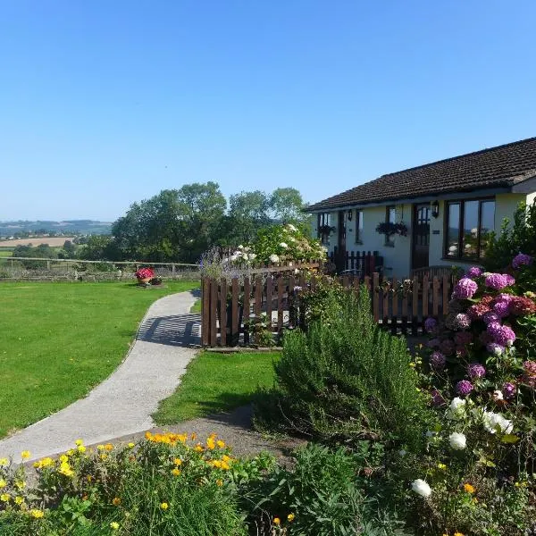 The Rock self-catering holiday cottage and garden lodges, hotel din Coleford
