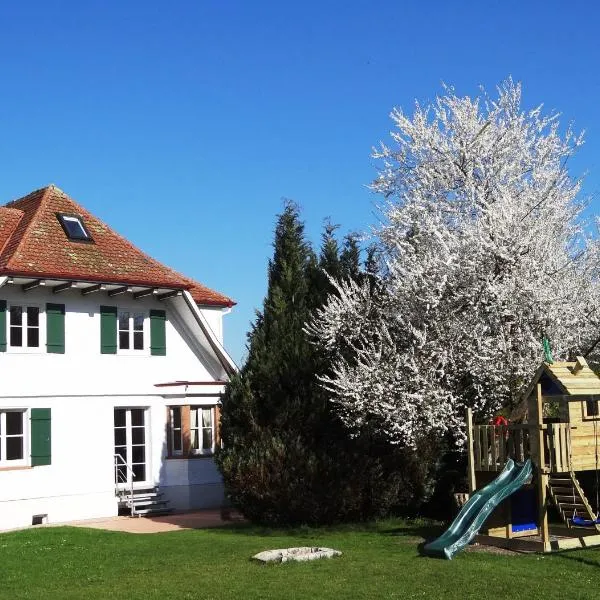 Schwarzwaldhaus24 - Ferienhaus mit Sauna, Whirlpool und Kamin, Hotel in Aichhalden