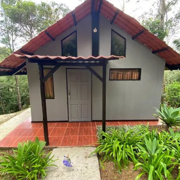 Koi's House - Quebradillas de Dota, hótel í San Pablo