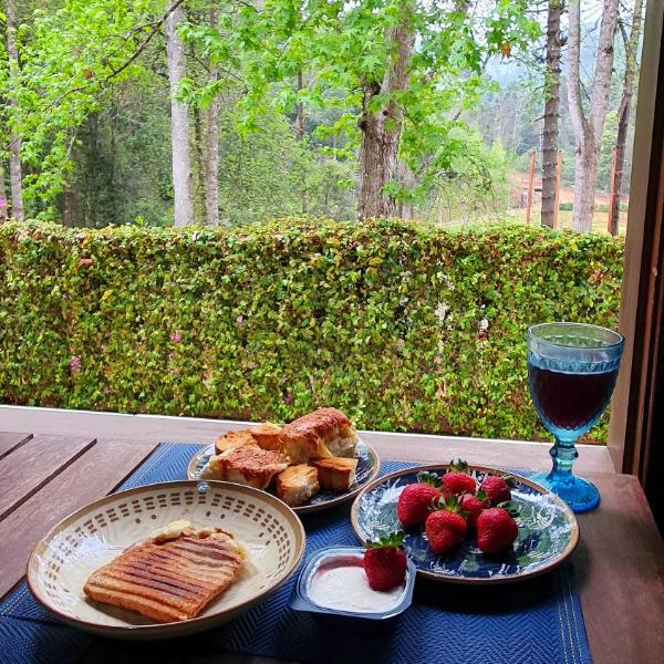 Cabana Retrô com lareira e Ofurô em Monte Verde - Foto 4