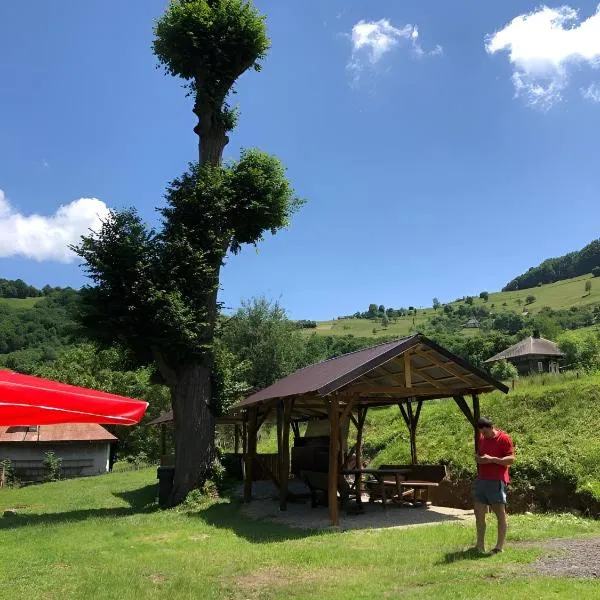 Casa Pescarului Apuseni, hotel en Vîrtop