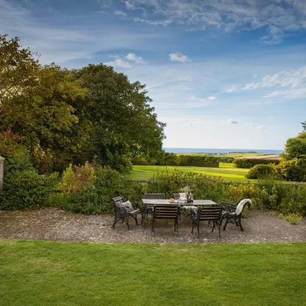 Downe Cottages, hotel in Hartland