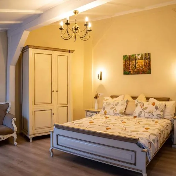 Oldtownvilla studio central, hotel u gradu 'Sibiu'