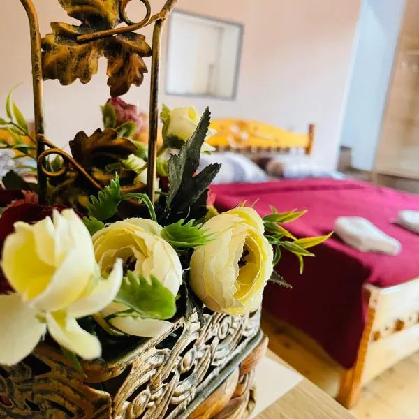 Travel Inn House Mestia • მოგზაურის სახლი, hotel v destinaci Mestia