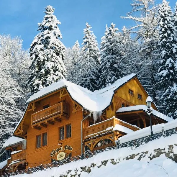 Pensjonat Alpejski Dwór – hotel w Międzygórzu