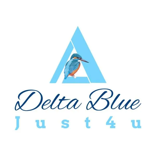 Delta Blue, hotel in Fîntîna Dulce