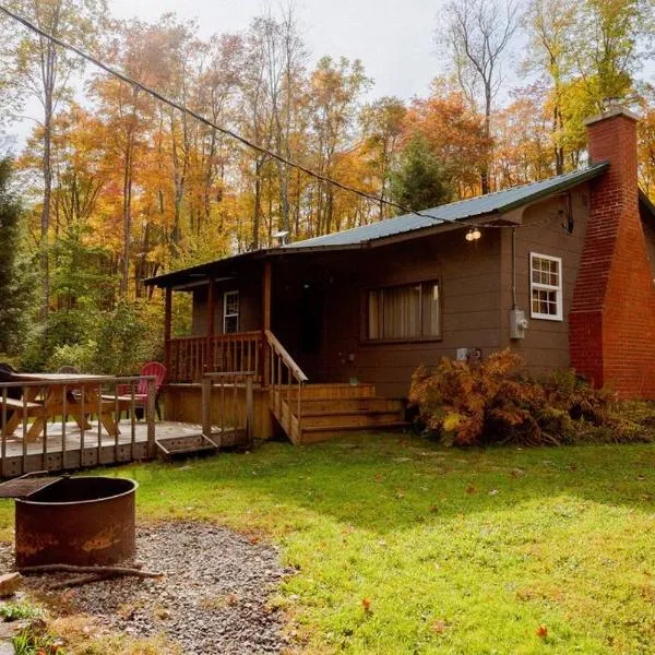 Salmon Creek Cabin - Allegheny National Forest, hotel v destinaci Marienville